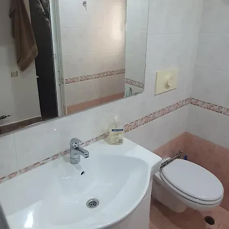 At * Μπουργκάς